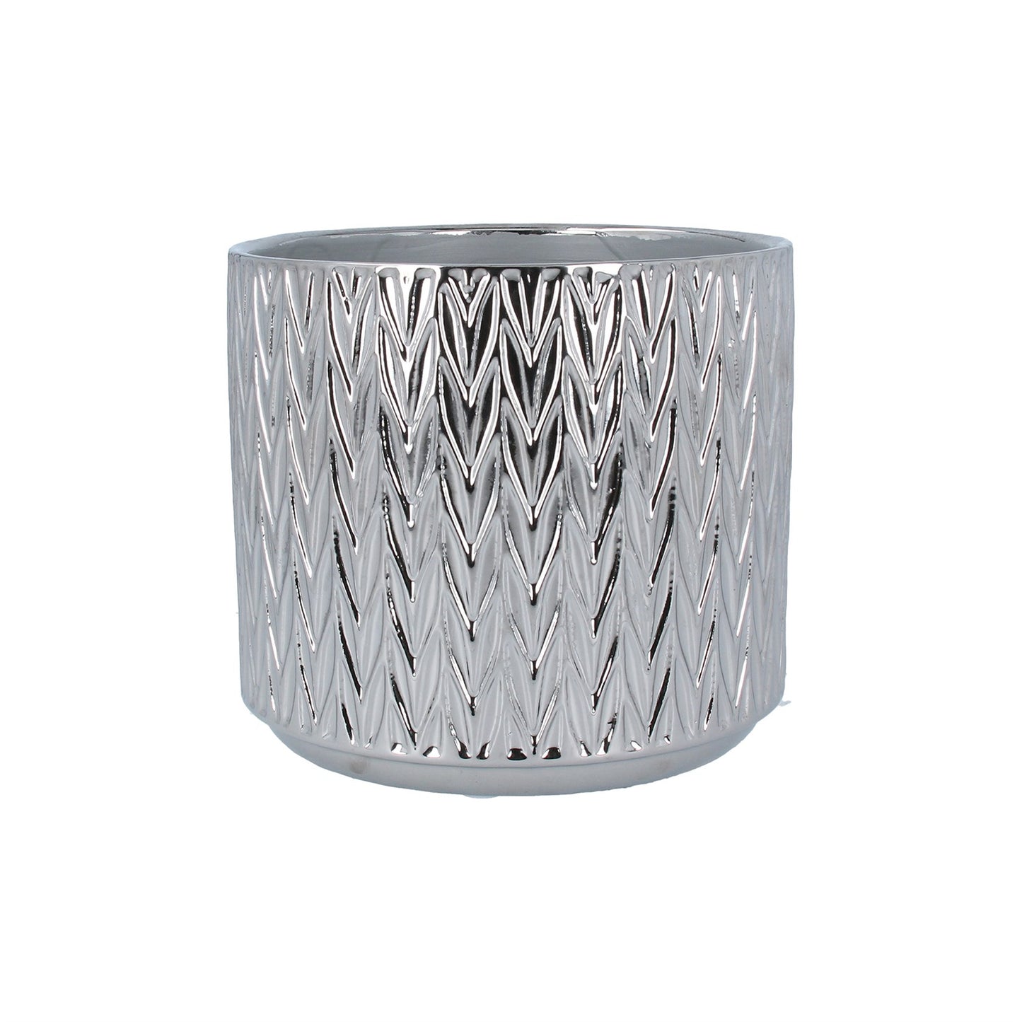 Pot Cover - Silver Staghorn 15cm