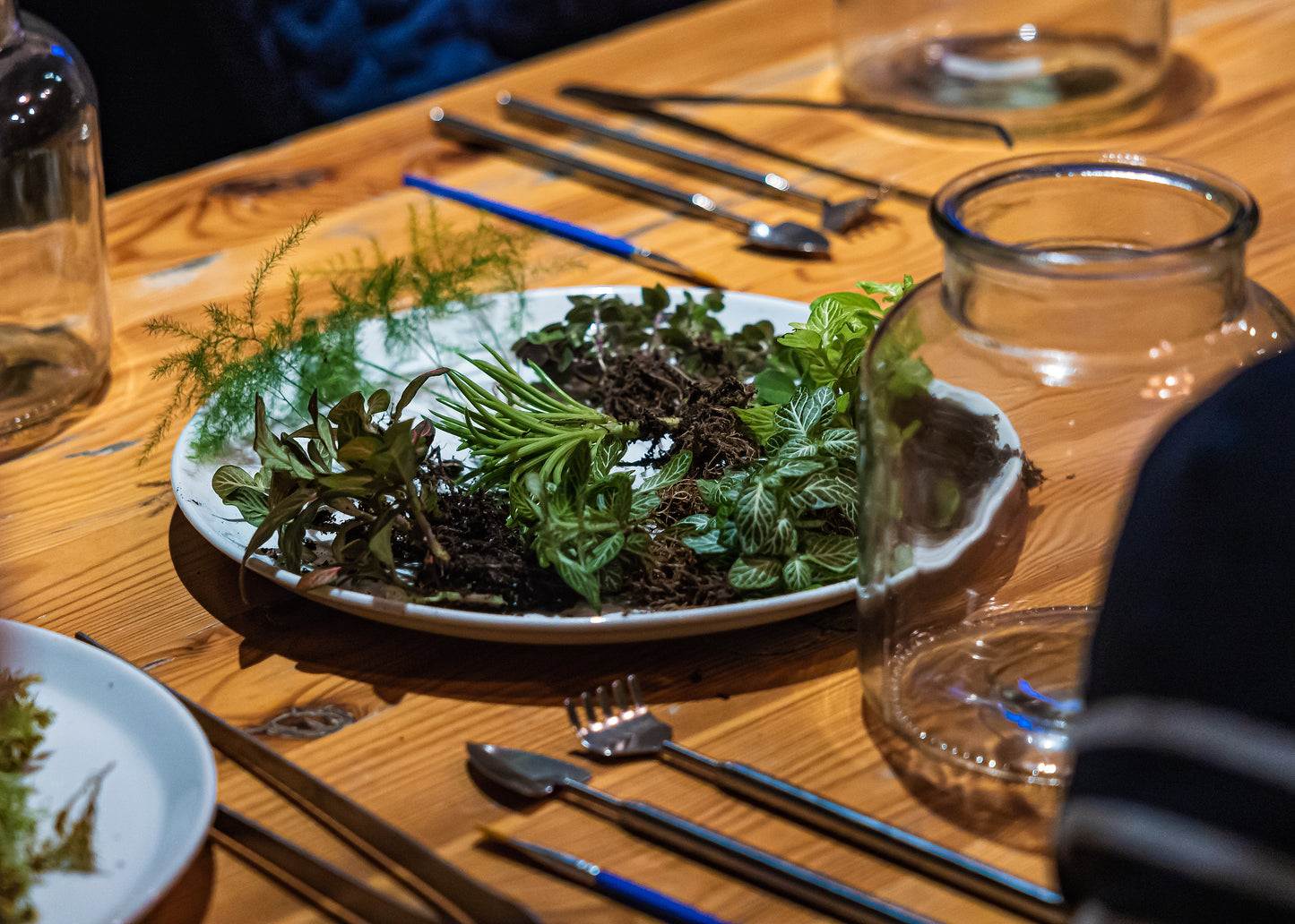 Rainforest terrarium workshop Saturday 18th April 14:00-15:30.