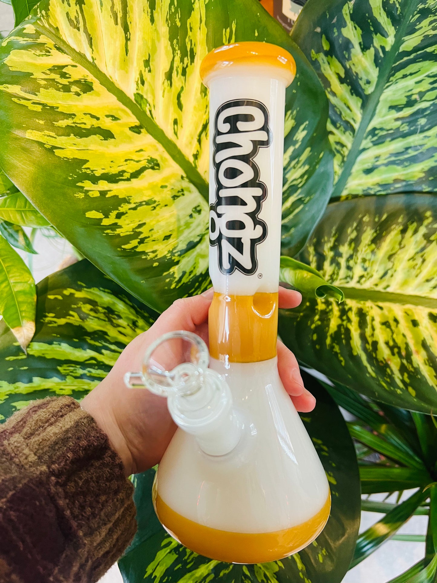 Chongz ‘Snow Joke’