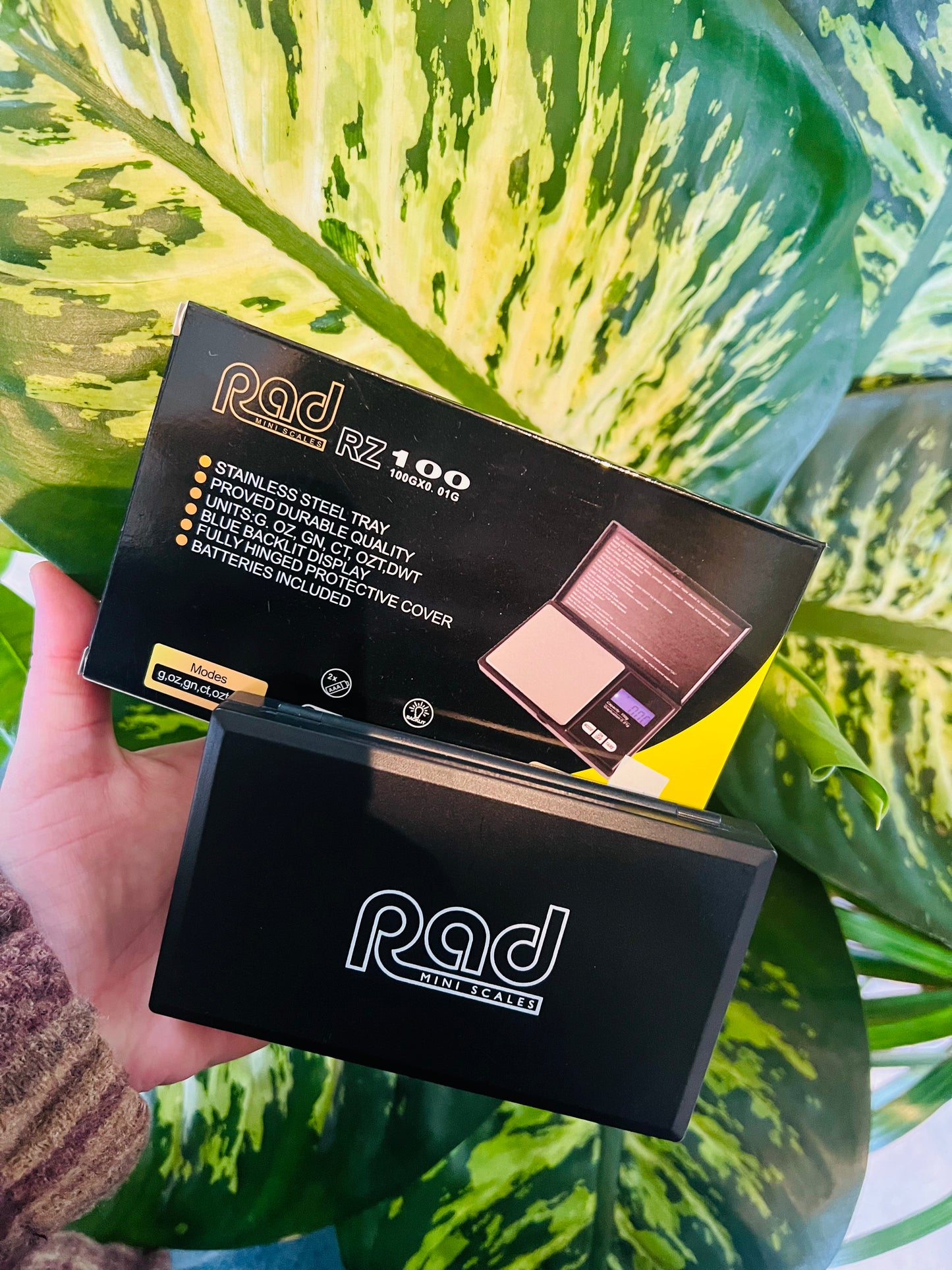 RAD scales RZ series