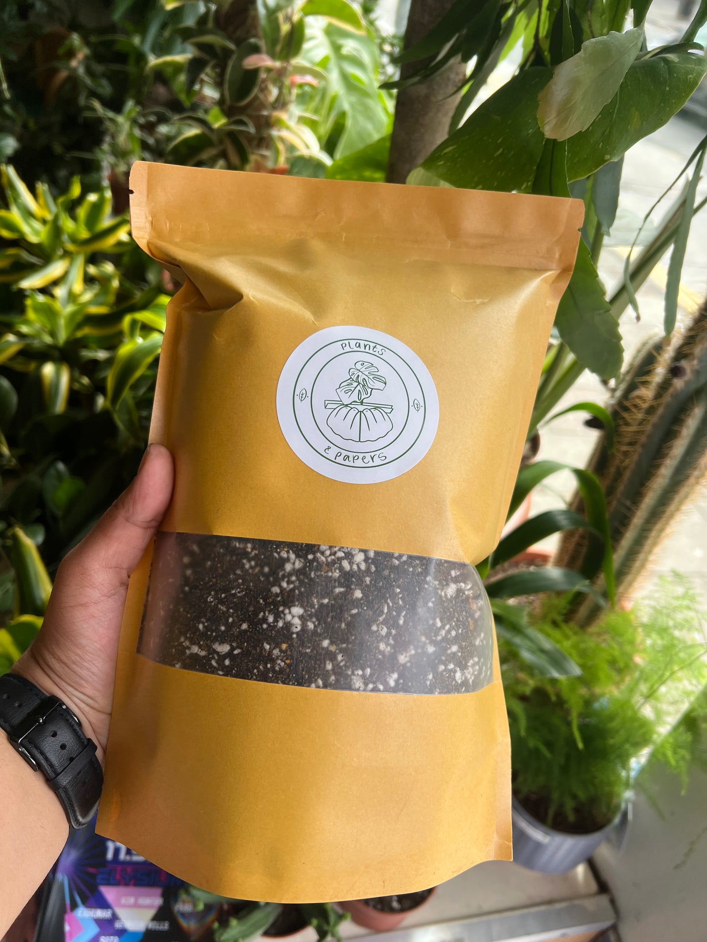 Premium 1kg Bag Rainforest Soil