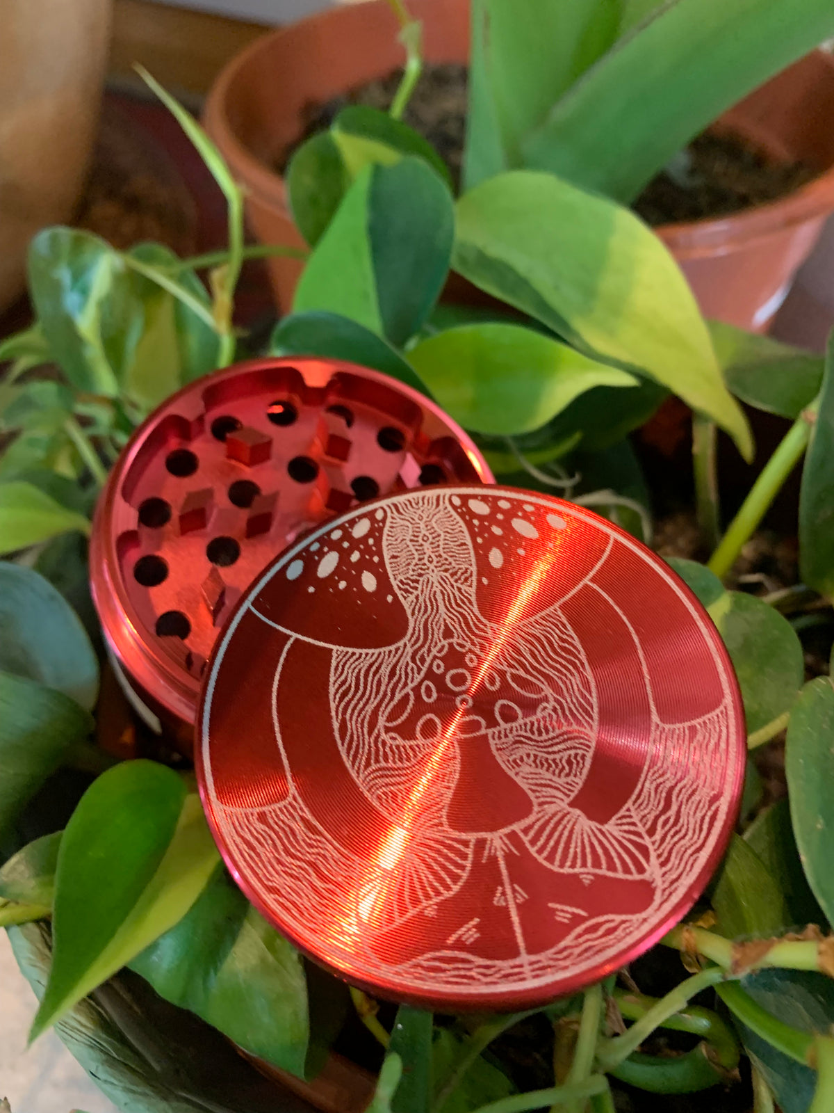 Plants and Papers Mushroom Design Grinders