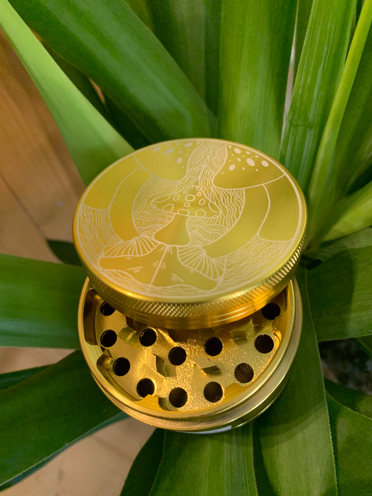 Plants and Papers Mushroom Design Grinders