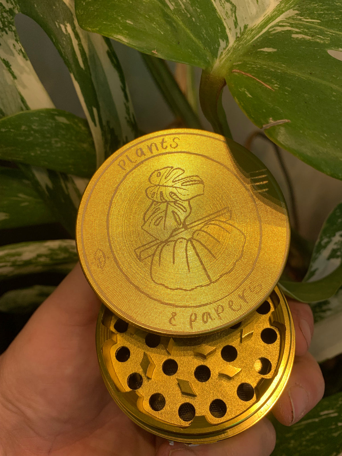 Plants & Papers Logo Design Grinder Large