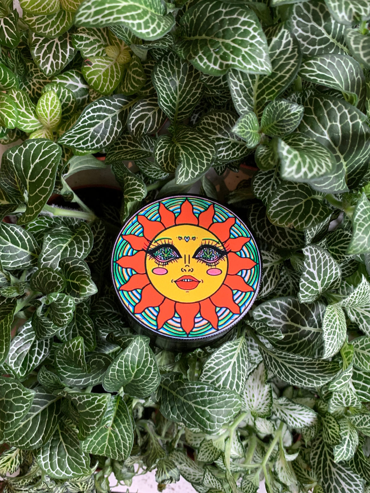 Plants & Papers Character Grinders