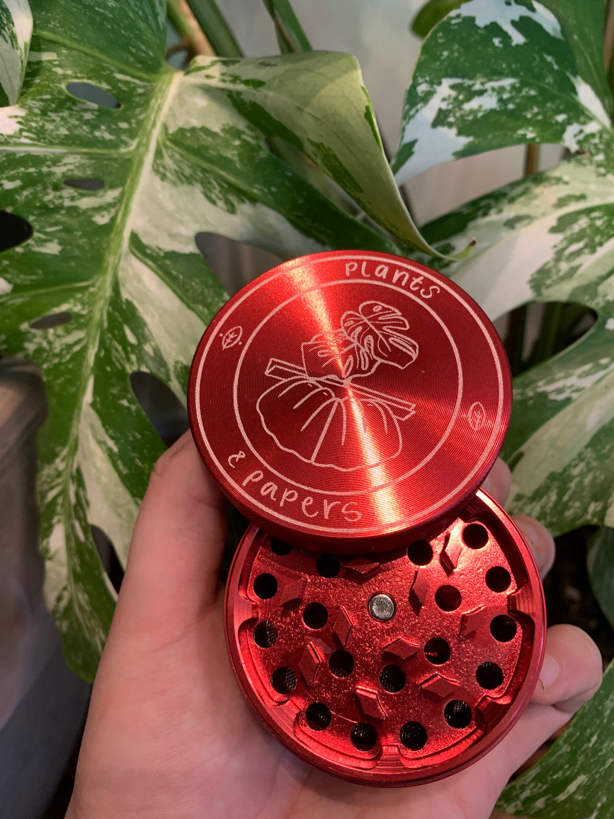 Plants & Papers Logo Design Grinder Large