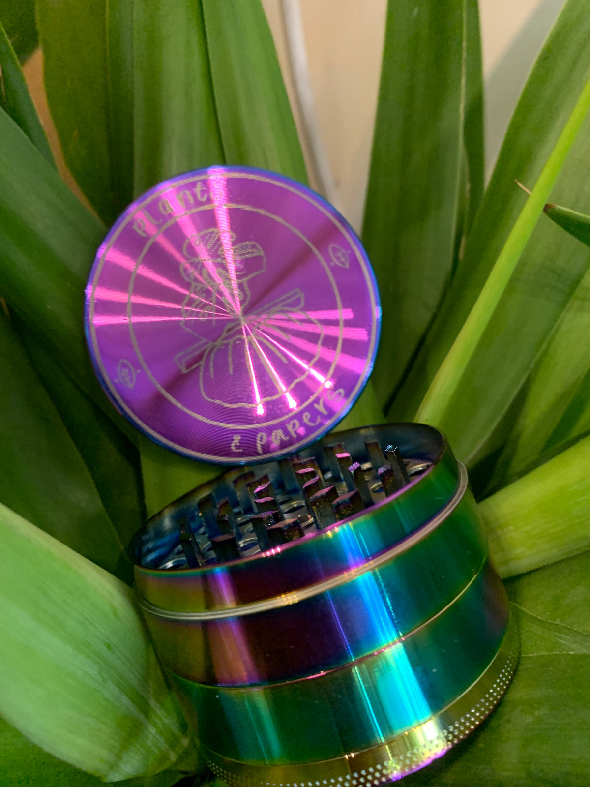 Plants & Papers Logo Design Grinder Large