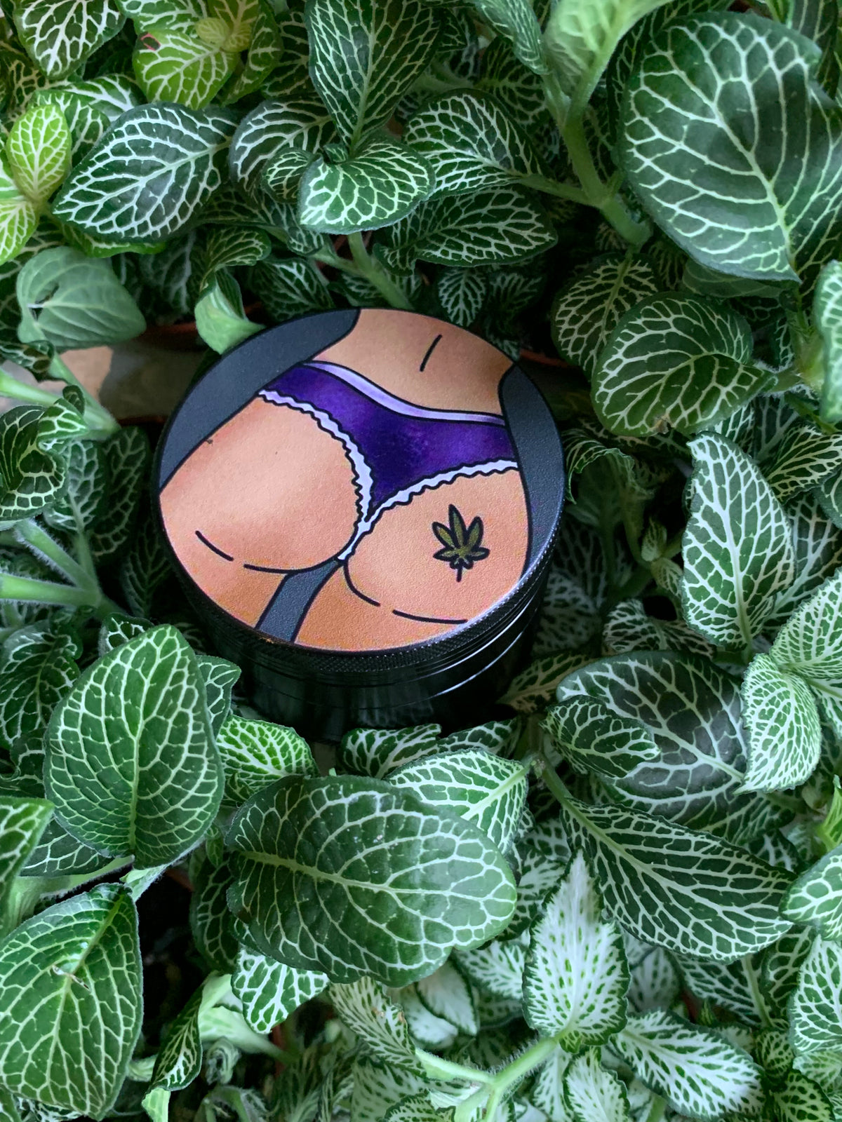 Plants & Papers Character Grinders