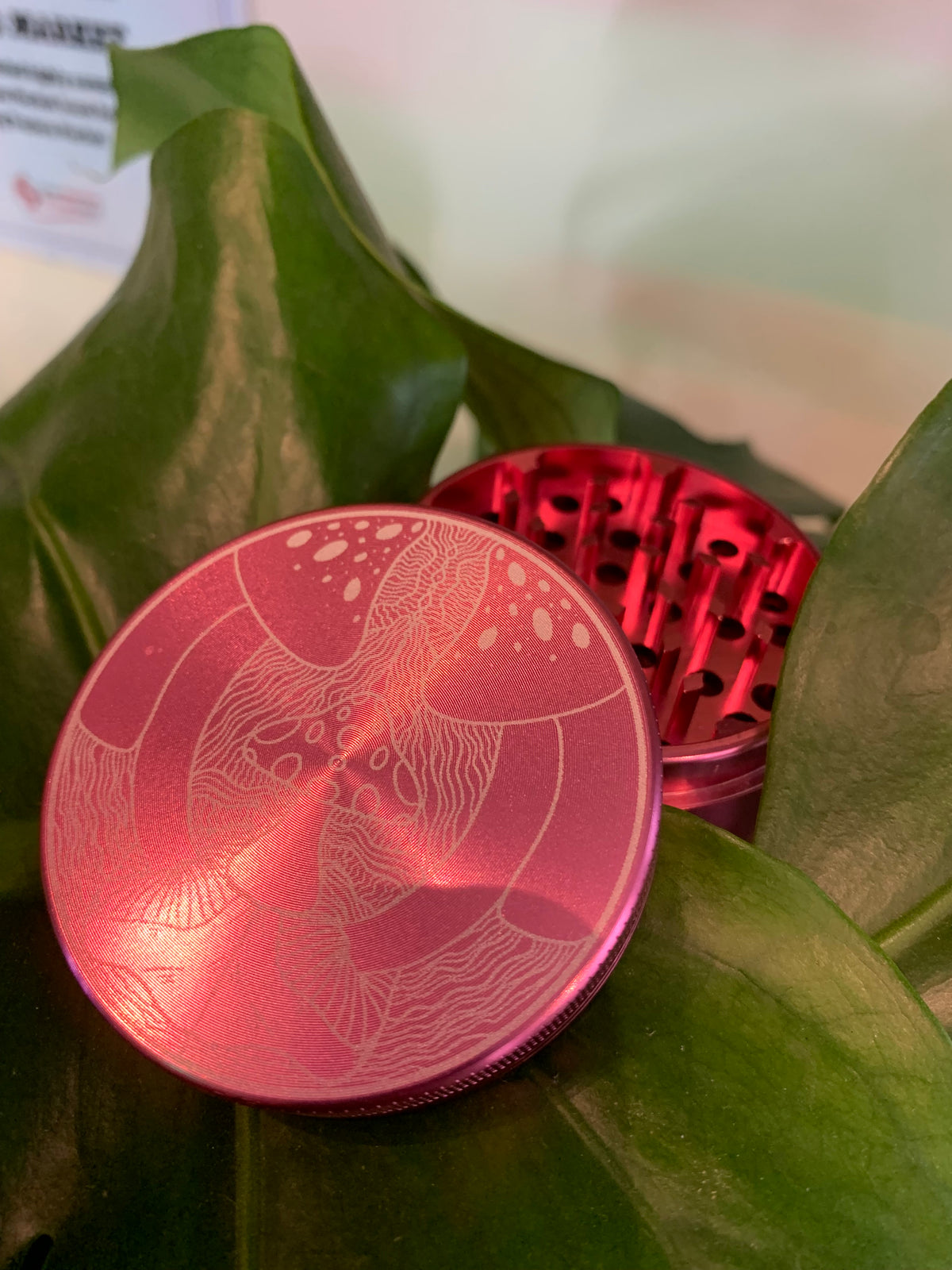 Plants and Papers Mushroom Design Grinders