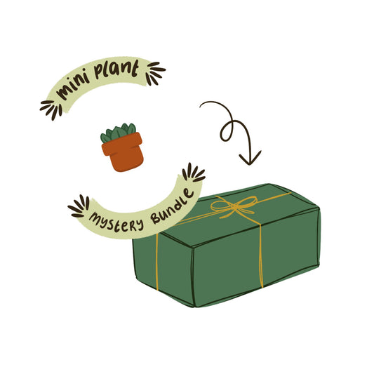 Mini plant mystery bundle